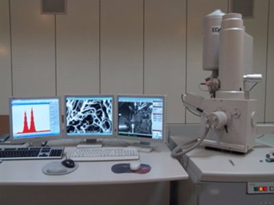 Microscopia Eletrônica de Varredura